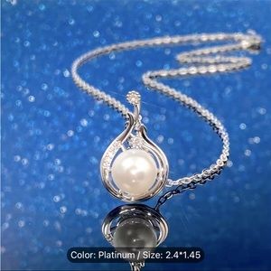 925 Sterling Silver Plated Necklace with a pair of earrings